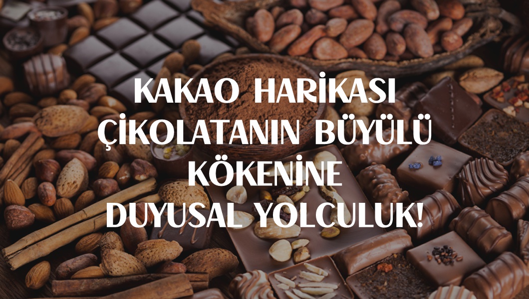 Kakao Harikası - Çikolatanın Büyülü Kökenine Duyusal Yolculuk! Kakao Harikası - Çikolatanın Büyülü Kökenine Duyusal Yolculuk!