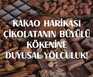 Kakao Harikası - Çikolatanın Büyülü Kökenine Duyusal Yolculuk!